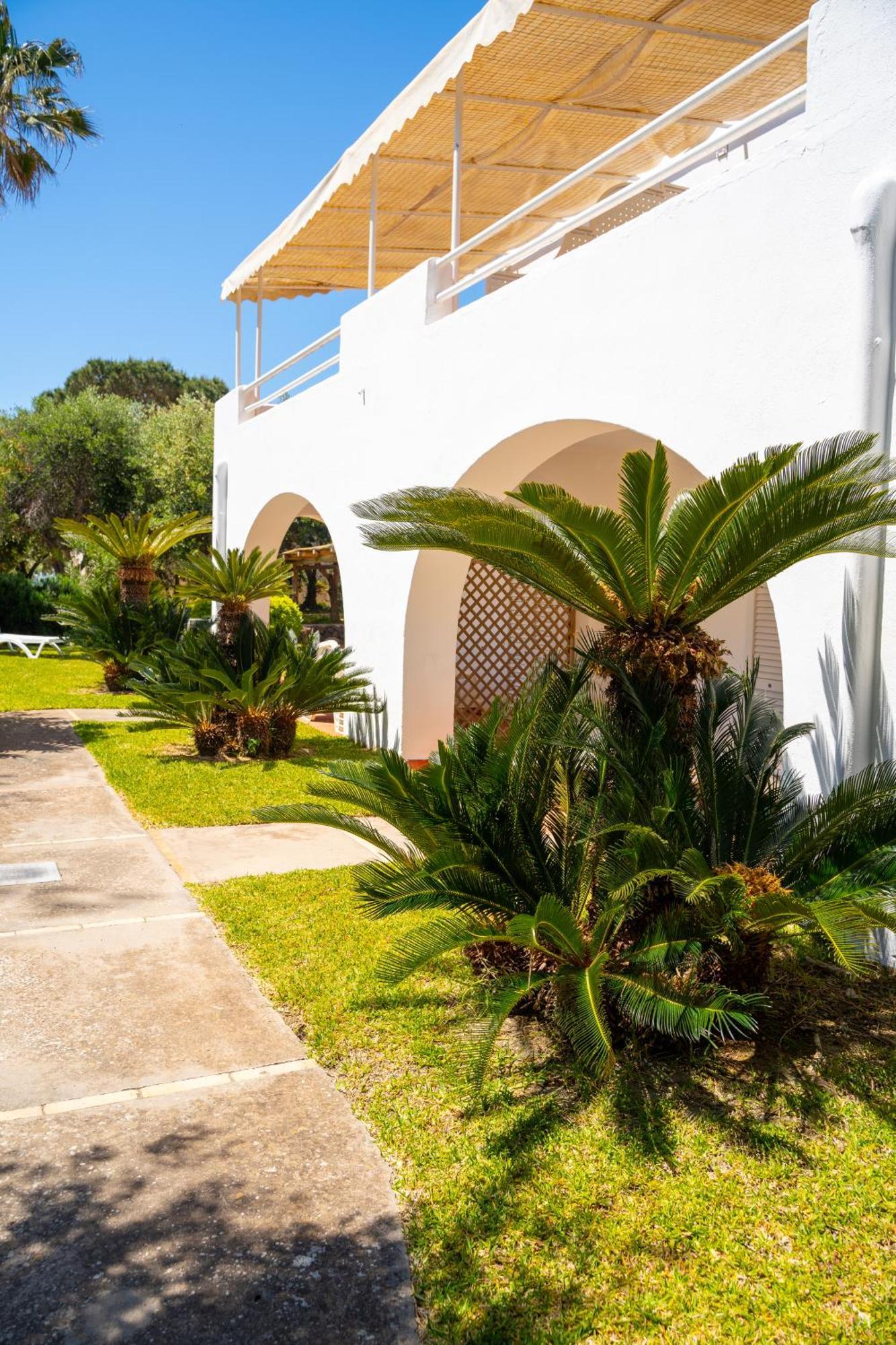Residence Palummera Ischia Buitenkant foto