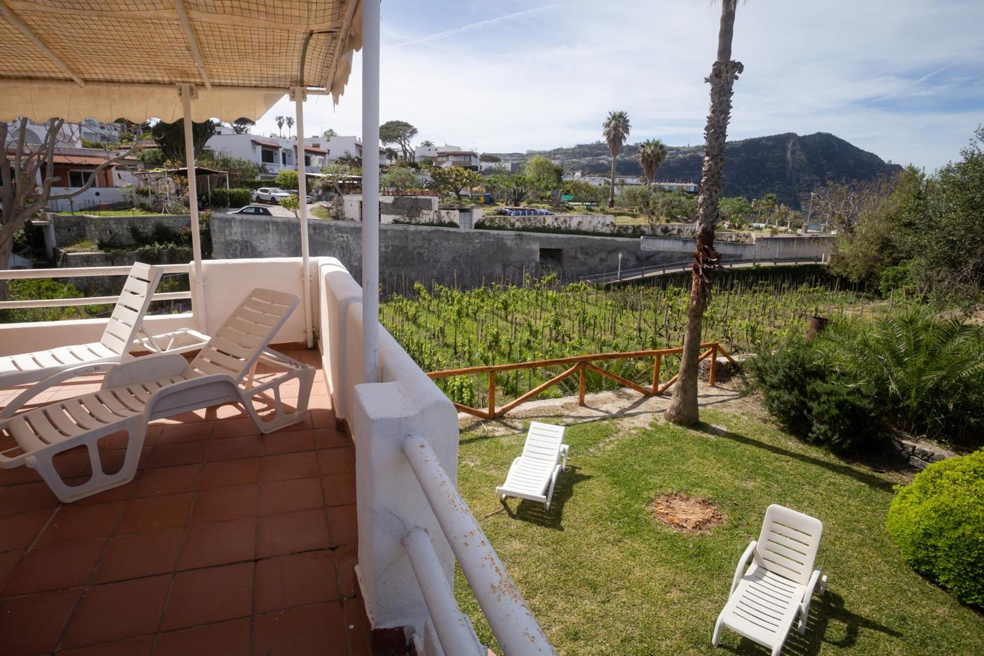Residence Palummera Ischia Buitenkant foto